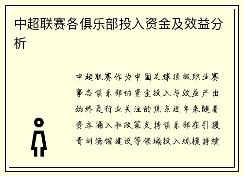 中超联赛各俱乐部投入资金及效益分析