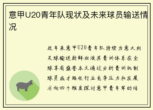 意甲U20青年队现状及未来球员输送情况